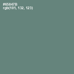 #65847B - Viridian Green Color Image