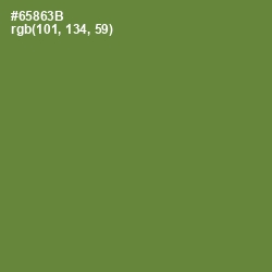 #65863B - Olive Drab Color Image