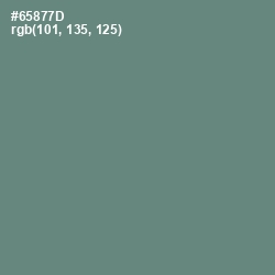 #65877D - Viridian Green Color Image