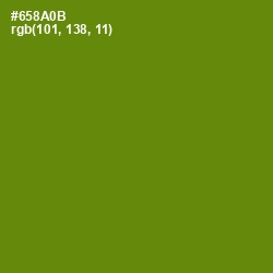 #658A0B - Limeade Color Image