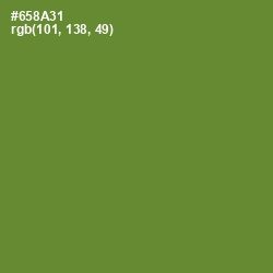 #658A31 - Olive Drab Color Image