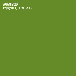 #658B29 - Olive Drab Color Image