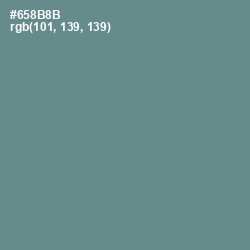#658B8B - Juniper Color Image