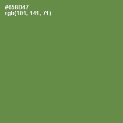 #658D47 - Glade Green Color Image