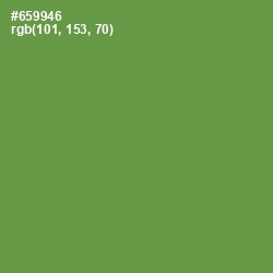 #659946 - Glade Green Color Image