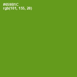 #659B1C - Limeade Color Image