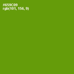 #659C09 - Limeade Color Image