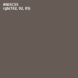 #665C55 - Dorado Color Image