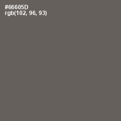 #66605D - Soya Bean Color Image