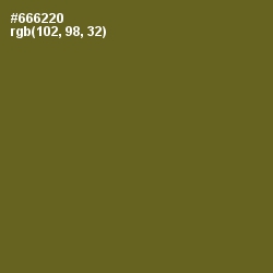 #666220 - Fern Frond Color Image