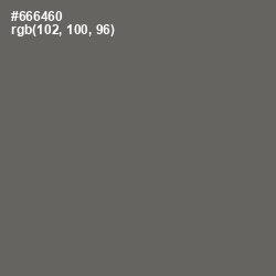 #666460 - Ironside Gray Color Image