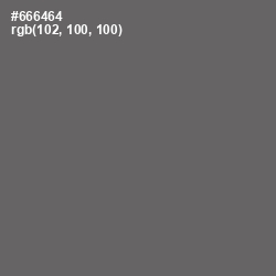 #666464 - Storm Dust Color Image