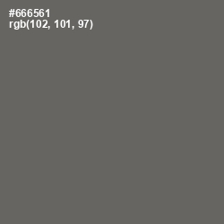 #666561 - Ironside Gray Color Image