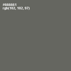 #666661 - Ironside Gray Color Image