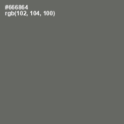 #666864 - Ironside Gray Color Image