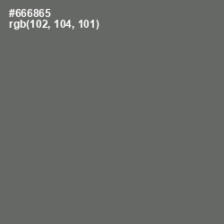 #666865 - Ironside Gray Color Image