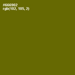 #666902 - Spicy Mustard Color Image