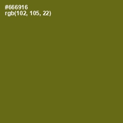 #666916 - Olivetone Color Image