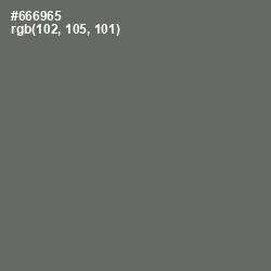 #666965 - Ironside Gray Color Image