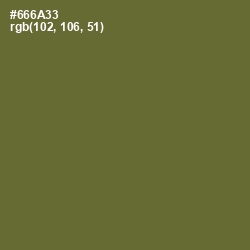 #666A33 - Yellow Metal Color Image