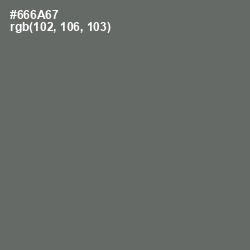 #666A67 - Ironside Gray Color Image