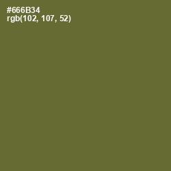 #666B34 - Yellow Metal Color Image