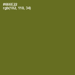 #666E22 - Fern Frond Color Image