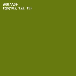 #667A0F - Olivetone Color Image