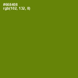 #668408 - Limeade Color Image