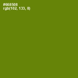 #668508 - Limeade Color Image