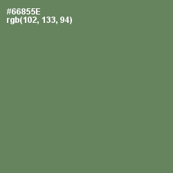 #66855E - Glade Green Color Image