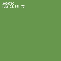 #66974C - Glade Green Color Image