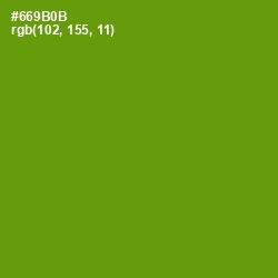 #669B0B - Limeade Color Image