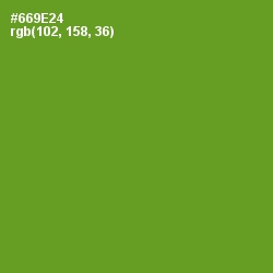 #669E24 - Olive Drab Color Image