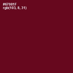 #67081F - Dark Tan Color Image