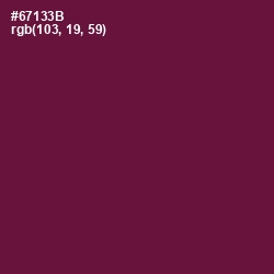 #67133B - Tyrian Purple Color Image