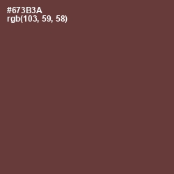#673B3A - Quincy Color Image