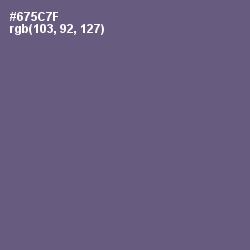 #675C7F - Smoky Color Image