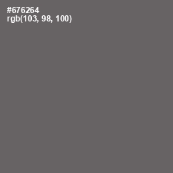 #676264 - Storm Dust Color Image