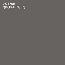 #676360 - Ironside Gray Color Image