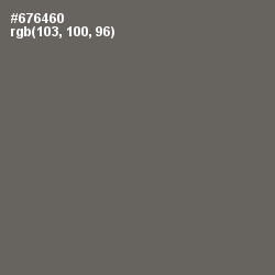 #676460 - Ironside Gray Color Image