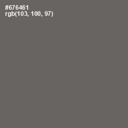 #676461 - Ironside Gray Color Image