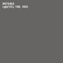 #676464 - Ironside Gray Color Image
