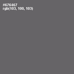 #676467 - Storm Dust Color Image