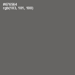 #676564 - Ironside Gray Color Image