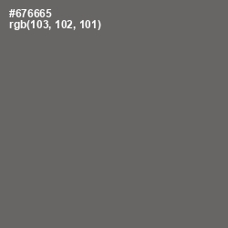 #676665 - Ironside Gray Color Image