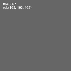 #676667 - Ironside Gray Color Image