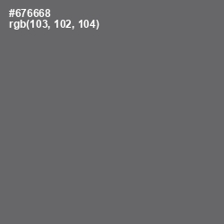 #676668 - Ironside Gray Color Image