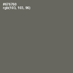 #676760 - Ironside Gray Color Image