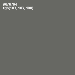 #676764 - Ironside Gray Color Image